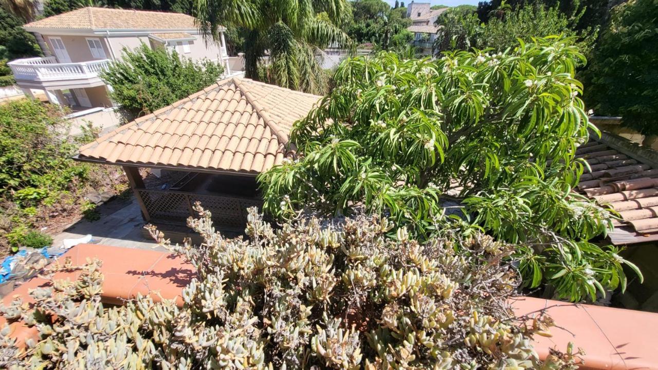 פלרמו Villa Rosa מראה חיצוני תמונה