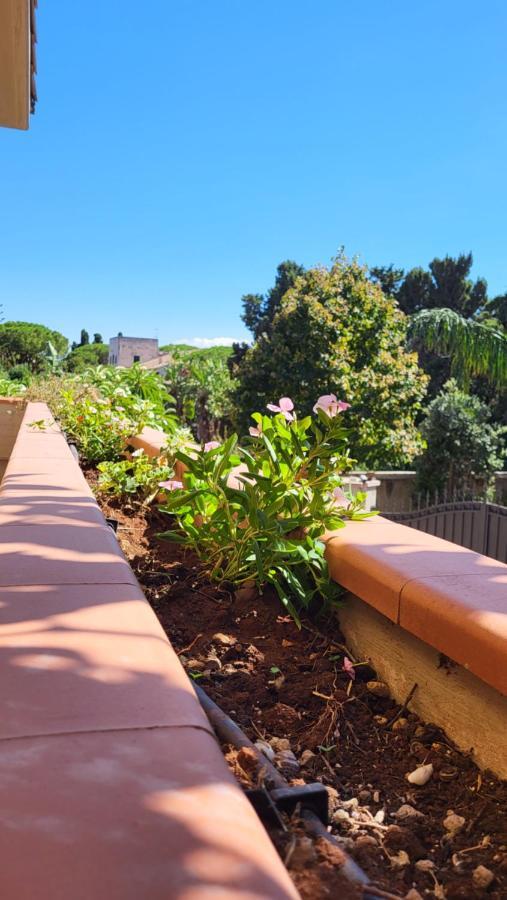 פלרמו Villa Rosa מראה חיצוני תמונה