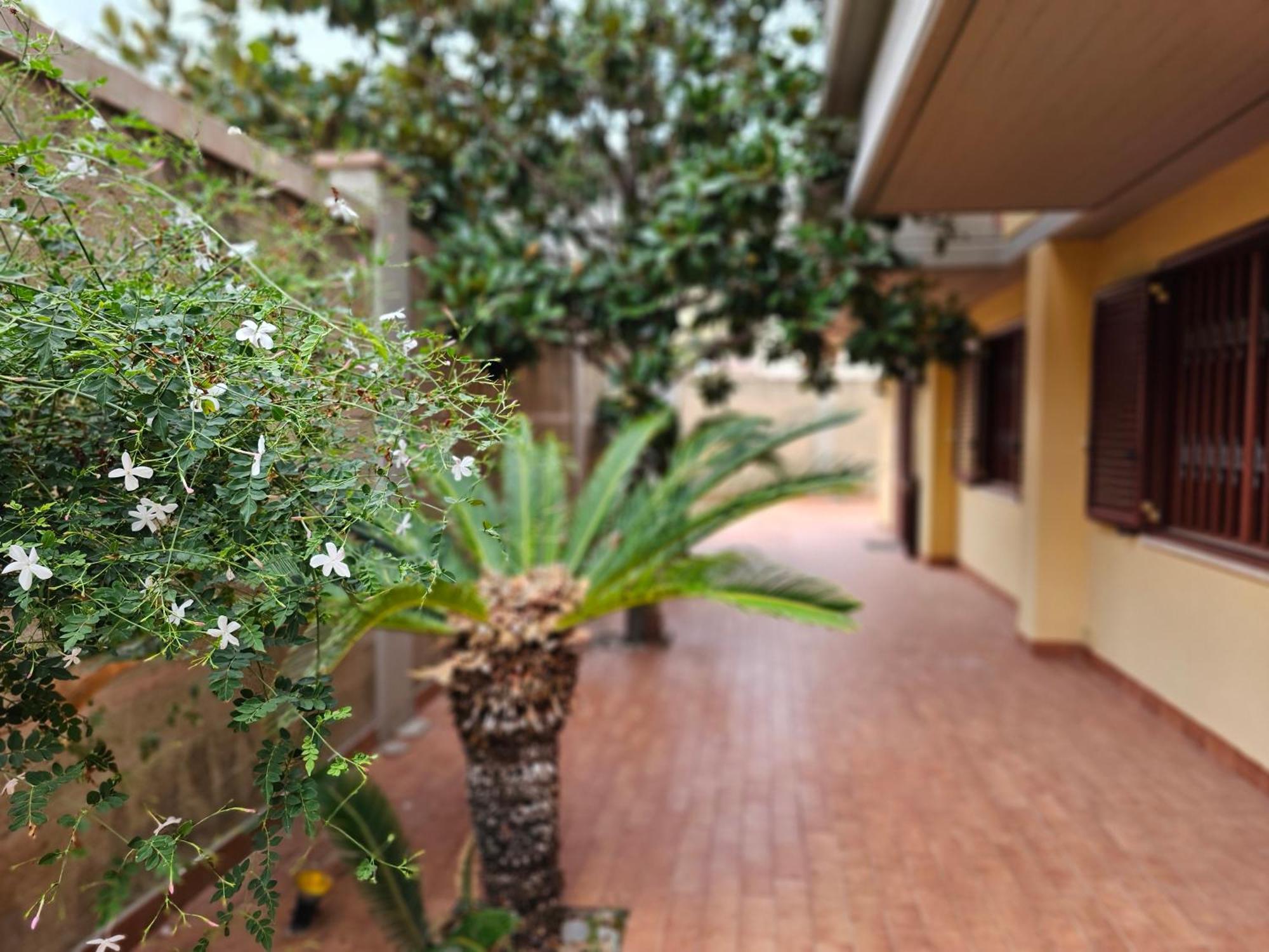 פלרמו Villa Rosa מראה חיצוני תמונה
